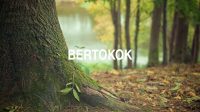 Bertokok