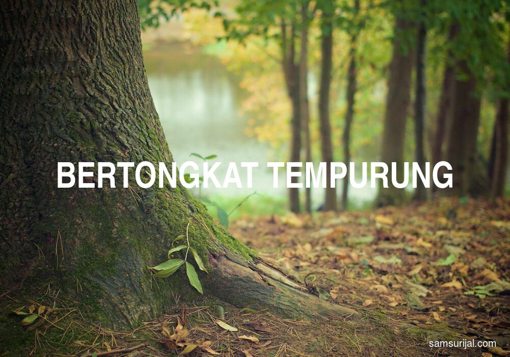 Arti Bertongkat Tempurung