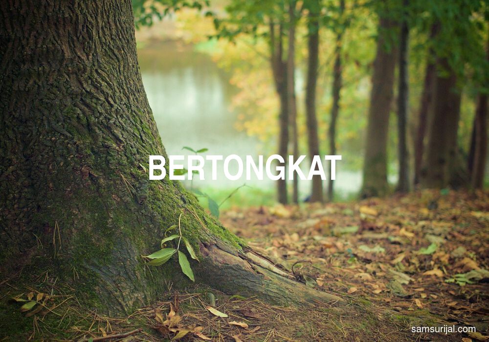 Arti Bertongkat