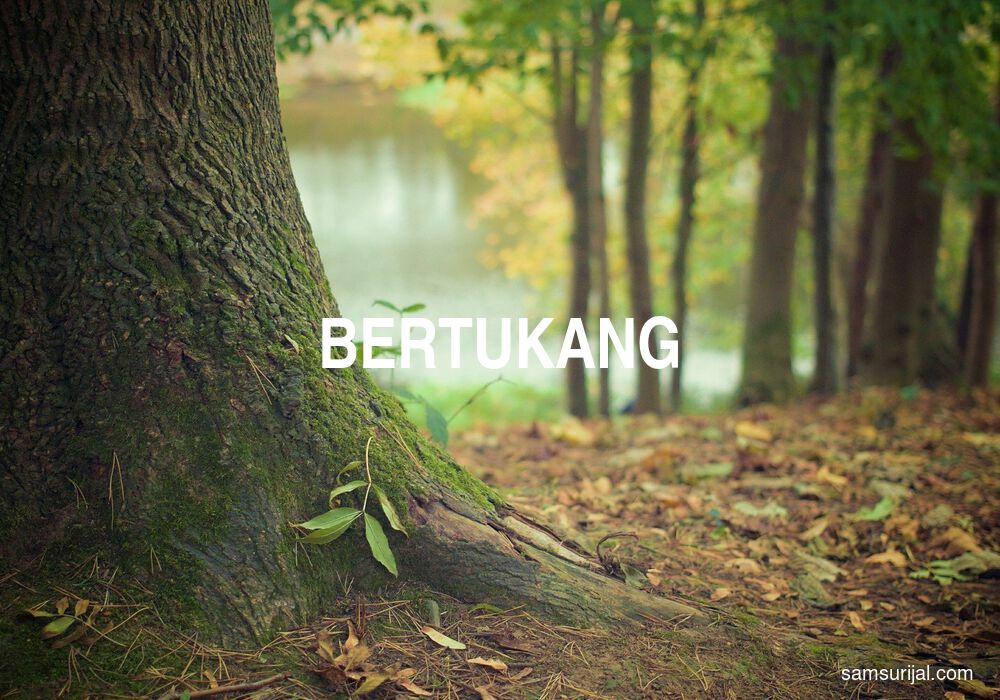 Arti Bertukang