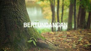 Bertundangan