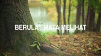 Berulat Mata Melihat