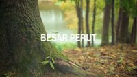 Besar Perut