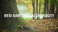 Besi Baik Dibajai Diringgiti