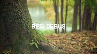 Besi Debus