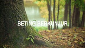 Beting Berkunjur