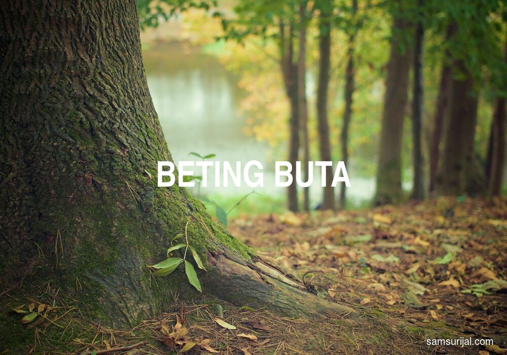 Arti Beting Buta