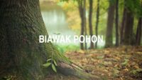 Biawak Pohon