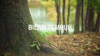 Bidan Tempuh