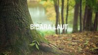 Bidara Laut