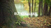 Biji Kemaluan