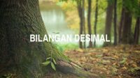 Bilangan Desimal