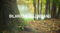 Bilangan Gelombang