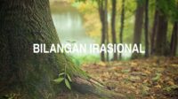 Bilangan Irasional