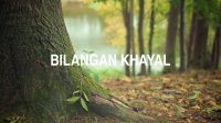 Bilangan Khayal