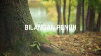 Bilangan Penuh