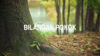 Bilangan Pokok