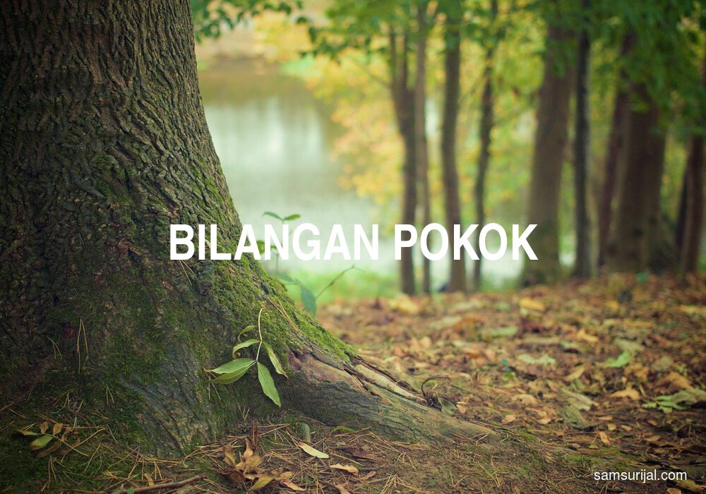 Arti Bilangan Pokok