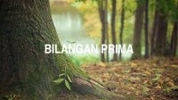 Bilangan Prima