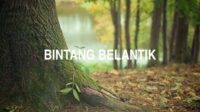 Bintang Belantik