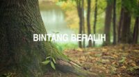 Bintang Beralih