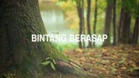 Bintang Berasap