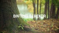 Bintang Berekor