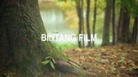 Bintang Film