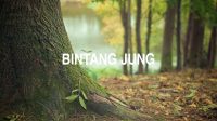 Bintang Jung