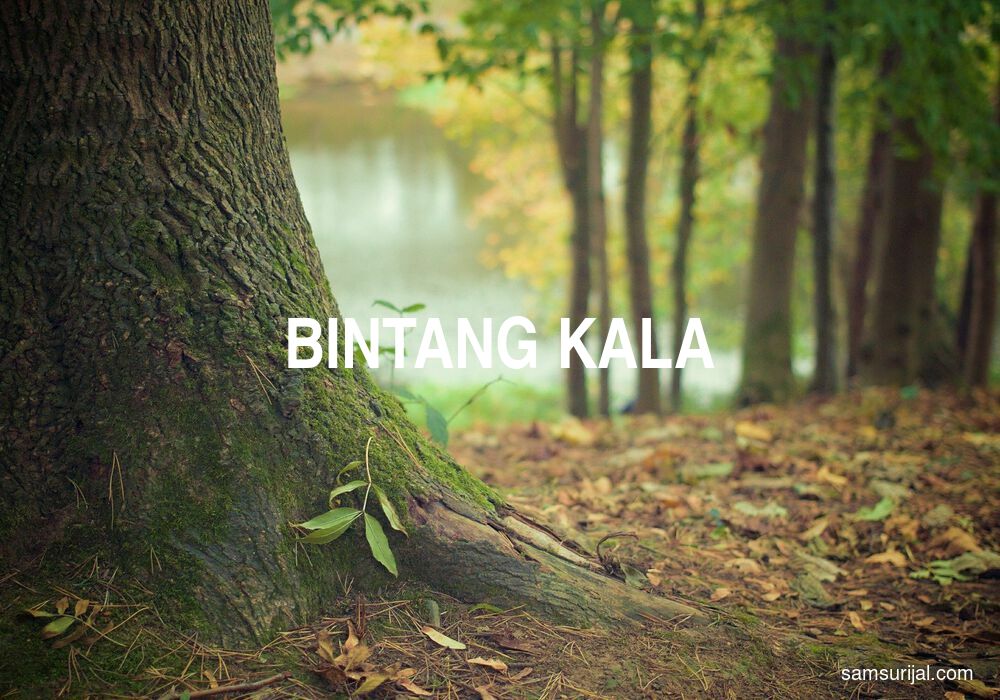 Arti Bintang Kala