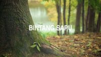 Bintang Sapu