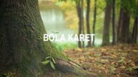 Bola Karet