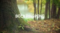 Bola Pingpong