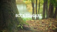 Bola Tongkat