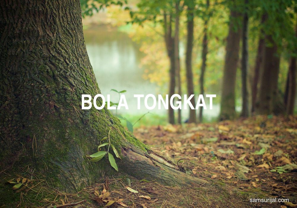 Arti Bola Tongkat