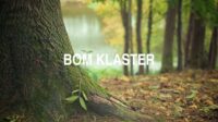 Bom Klaster