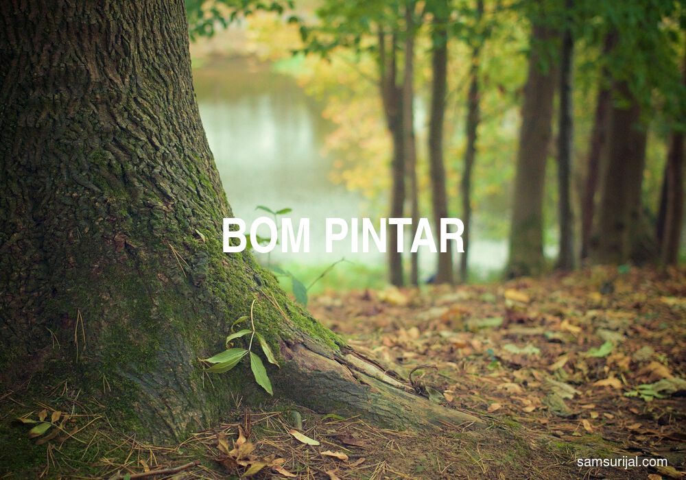 Arti Bom Pintar