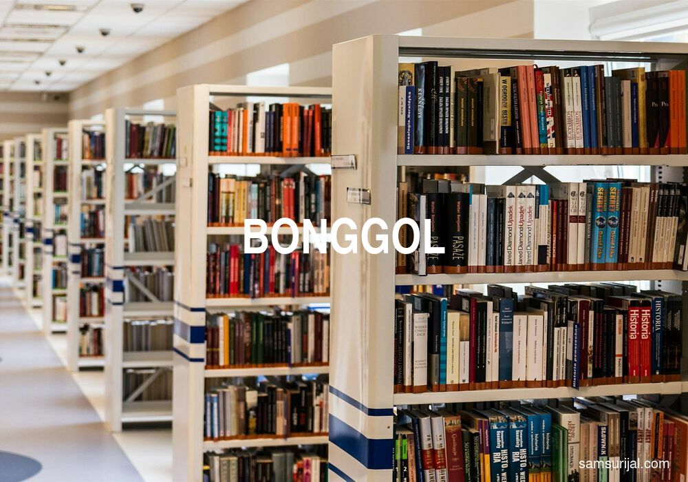 Arti Bonggol