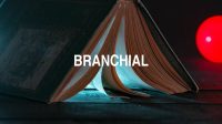 Branchial