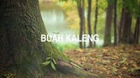 Buah Kaleng