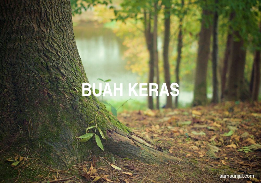 Arti Buah Keras