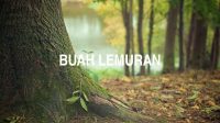 Buah Lemuran