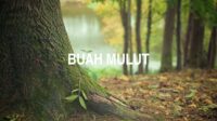 Buah Mulut