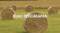 Buah Percakapan