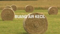 Buang Air Kecil