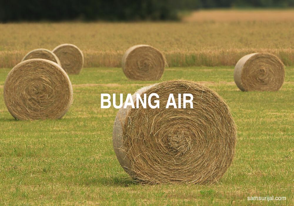 Arti Buang Air