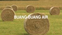 Buang-Buang air