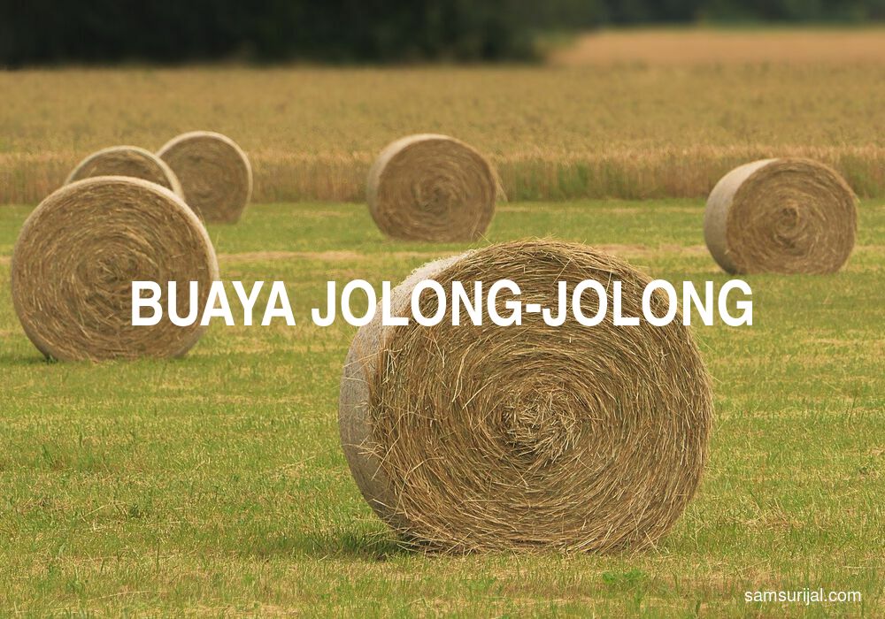 Arti Buaya Jolong Jolong