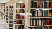 Budaya