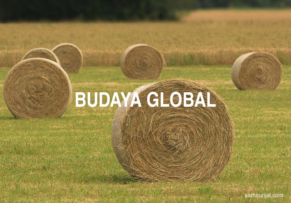 Arti Budaya Global